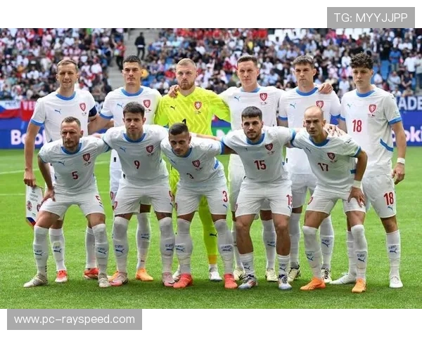 阿尔巴尼亚、爱尔兰进入附加赛第三档，将面对第二档球队